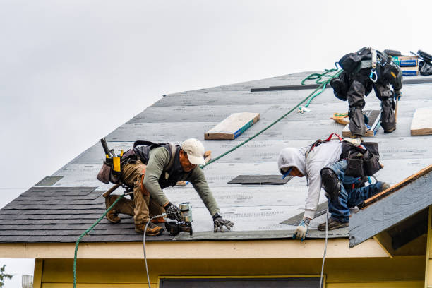 Professional Roof Replacement technician working in Riley, IN